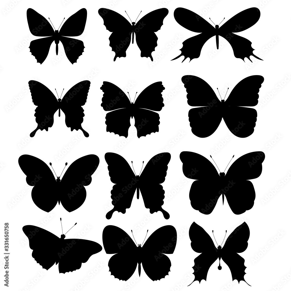vector, isolated, black silhouette butterfly, set vector, isolated, black silhouette butterfly, set