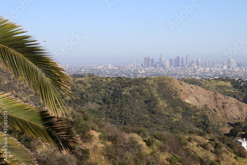 Skyline von Los Angeles von den Hollywood Hills aus gesehen bei Tag