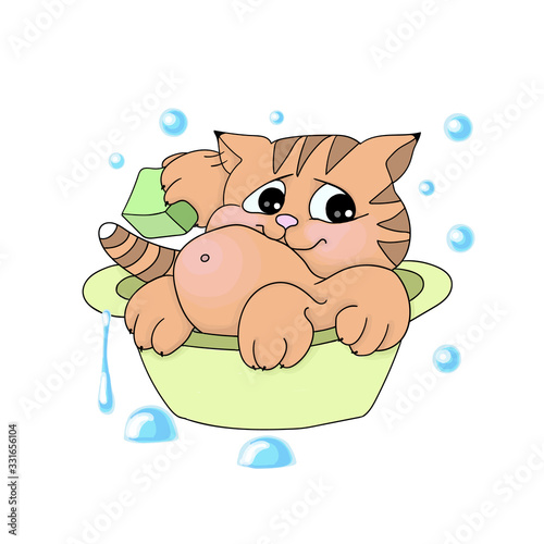 vector illustrations imaje of cartoon ginger tabby kitten bathes in a basin photo