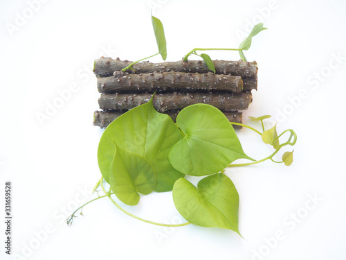 tinospora cordifolia or heart leaved moonseed with leaf use as ingredient in hair dandruff shampoo product to soothe itchy, flaky and irritated scalp and dry and is a medicine herb use for health care photo