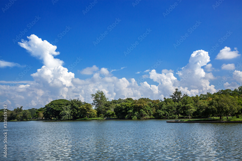 Lake of water, trees and sky with clouds.