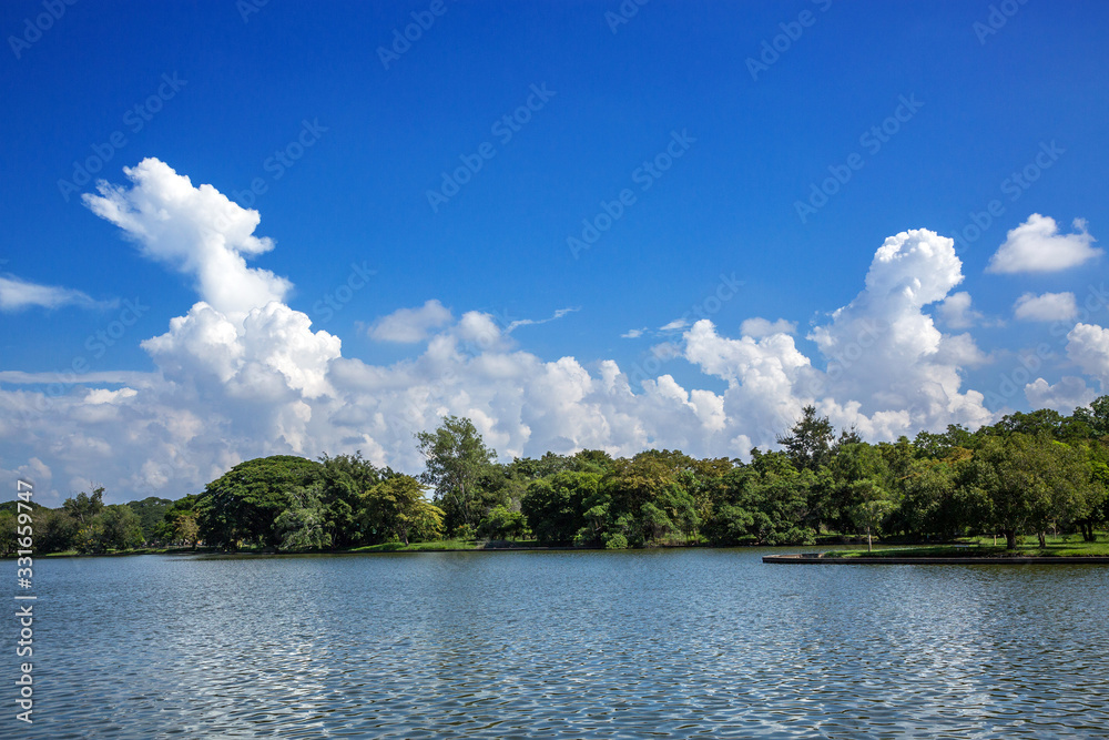 Lake of water, trees and sky with clouds. Lake of water, trees and sky with clouds.