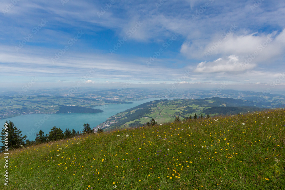 view from Gnipen mountain on blooming flowers and lake Zug