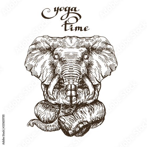 Elephant meditates lotus pose time yoga style engraving sketch vector
