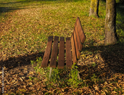 Bench and autumn leaves