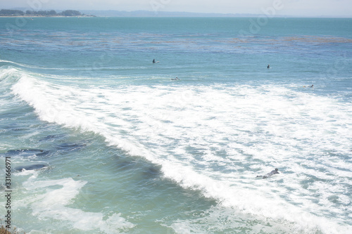 SANTA CRUZ, CALIFORNIA, USA - JULY 3, 2019: Surfers in the ocean near Lighthouse Field State Beach