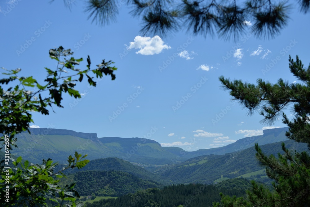 Paisaje valle verde con sierra al fondo visto entre los árboles