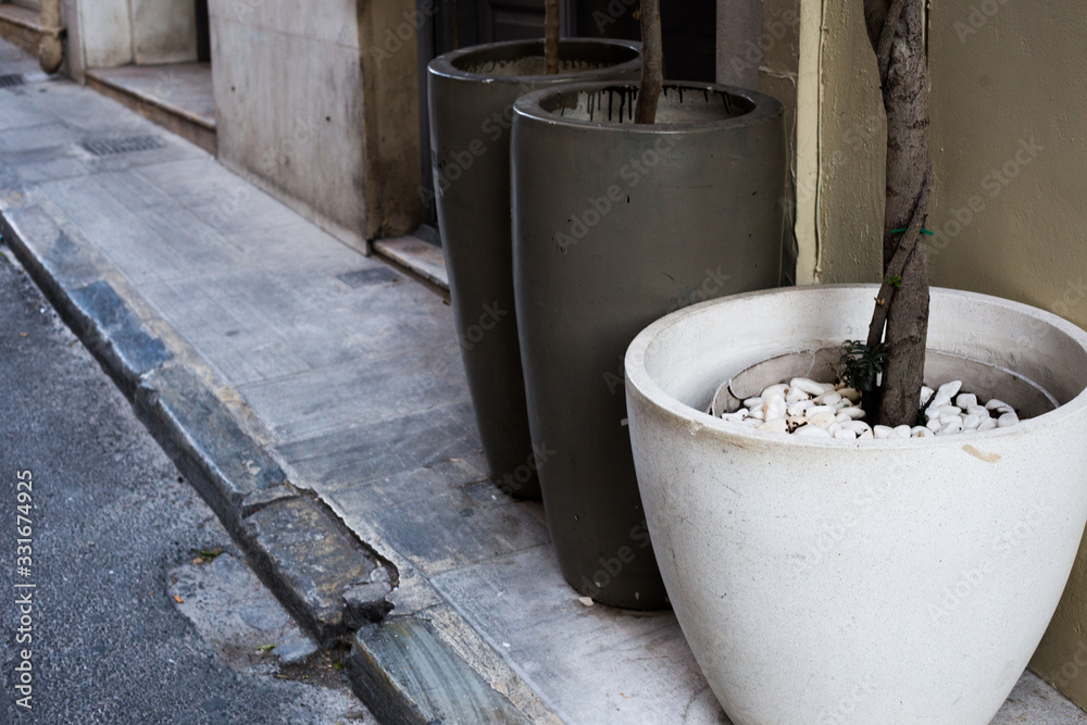 Flowerpot with a plant on the sidewalk on the street Flowerpot with a plant on the sidewalk on the street