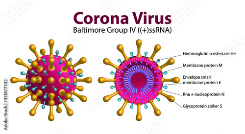 Diagram of Coronavirus particle structure, 2019-nCoV Novel Coronavirus Bacteria. No Infection and Stop Coronavirus Concepts. Dangerous Coronavirus Cell in China, Wuhan. Isolated Vector Icon