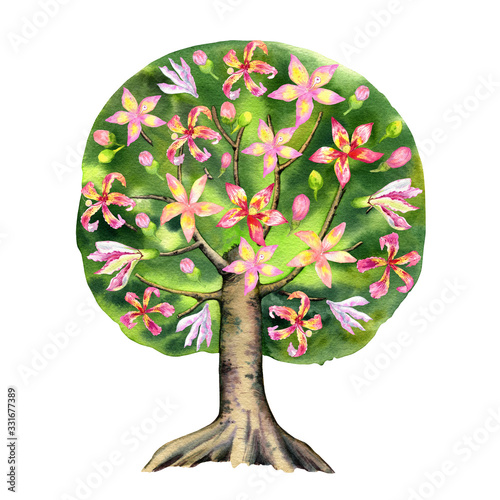 Watercolor of a flowering tree. Ceiba tree