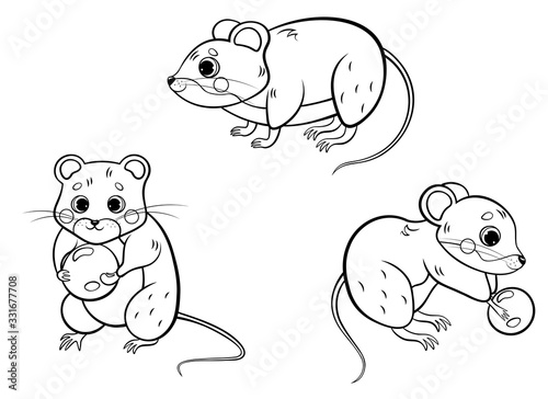 Cute cartoon forest vole or mouse vector coloring page outline set. Vole in different postures. Mouse holding berry. Forest animals for kids. Isolated on white background