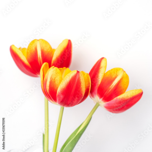 Fototapeta Naklejka Na Ścianę i Meble -  Tulip flower in glass vase with picture frame place on white wooden table background against clean wall at home, close up, Mother's Day decor concept.