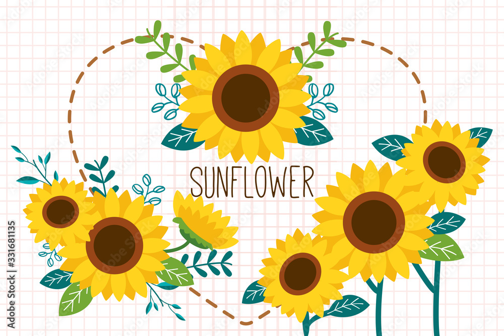 The collection of sunflower set on the white background. The group and pattern of sunflowers. Collection decorative floral design.