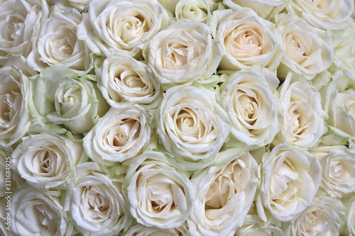 Natural floral background with bouquet of white roses