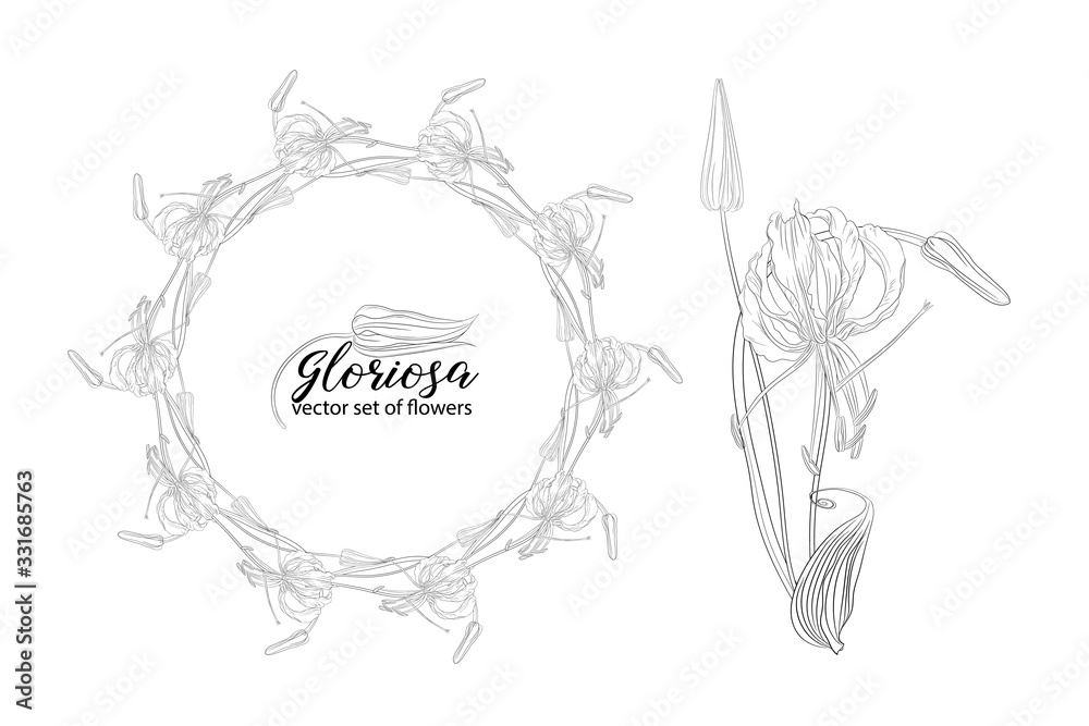 Fototapeta premium vector set of flowers and beads glorasa Gloriosa