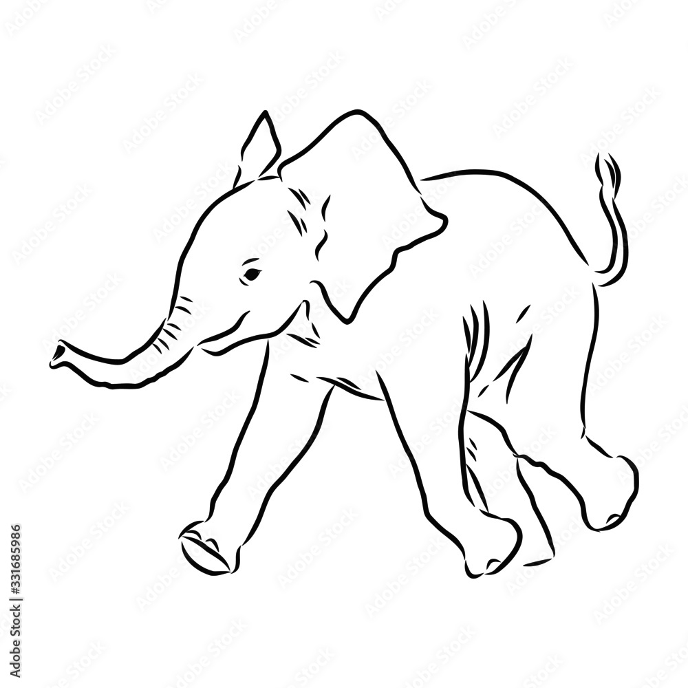 Obraz premium sketch of elephant baby, realistic 