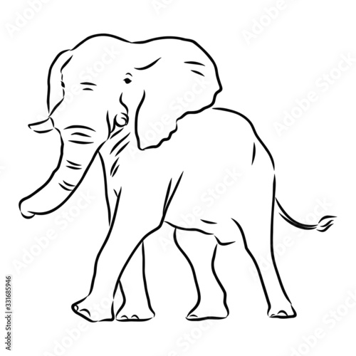 silhouette of African elephant  vector sketch 