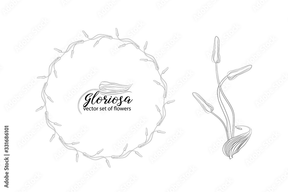 vector set of flowers and beads glorasa Gloriosa