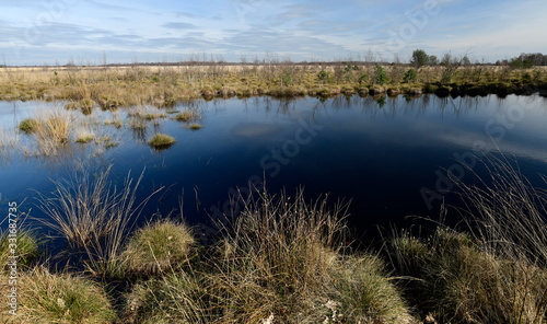 Oppenweher Moor (Diepholzer Moorniederung) - Bogland in Germany photo