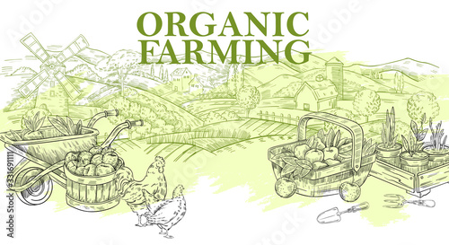 Vector vintage banner with rural landscape in engraving style. Illustration with garden, mill, fields, chickens, apple harvest and seedlings. Background for organic farming posters, landing pages. 