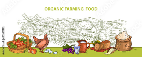 Vector background with rural horizontal landscape, basket with apples, eggs, chickens, milk, bread and flour. Organic food banner in engraving style. Stock illustration for landing pages, posters