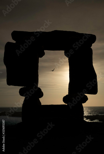A seagull flies amid the silhouette of a monument