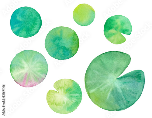 夏の素材：睡蓮の葉の水彩イラストのトレースベクター