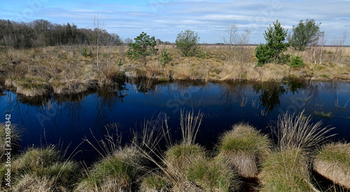 Oppenweher Moor (Diepholzer Moorniederung) - Bogland in Germany photo