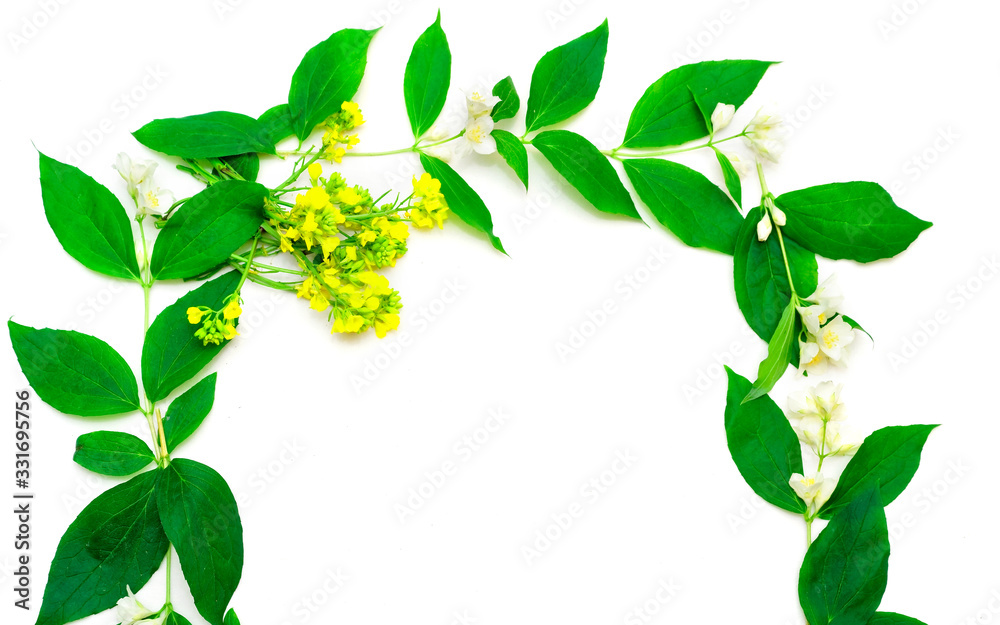 Obraz premium Wreath with jasmine flowers and leaves and yellow flowers