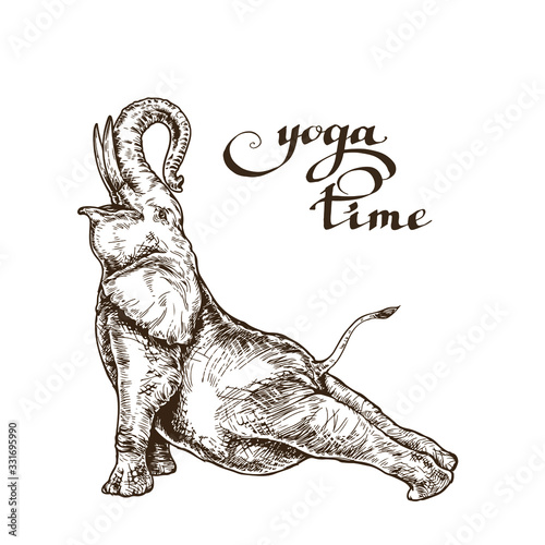 Elephant meditates doing gymnastics workout time yoga style engraving sketch vector