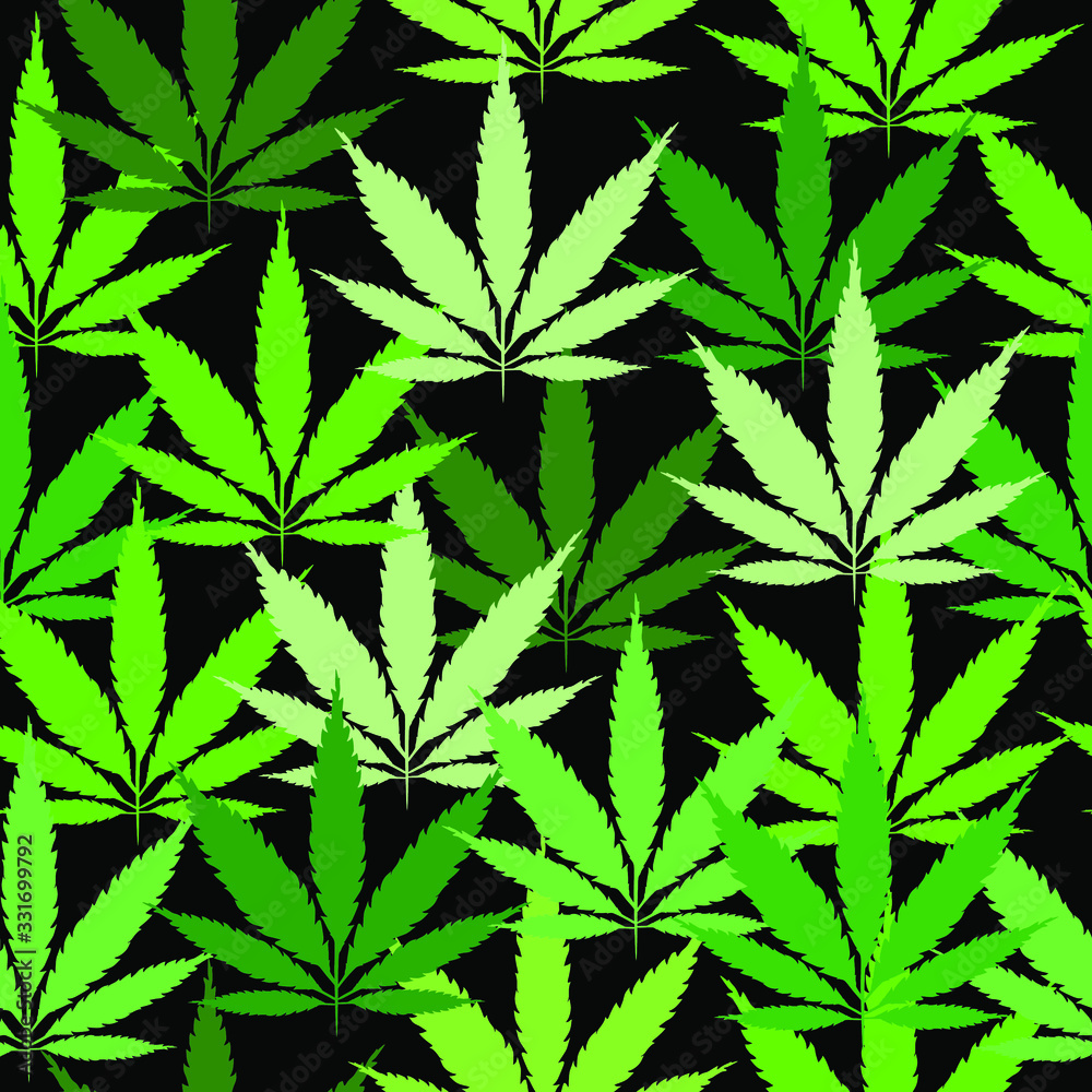 cannabis leaf on black background pattern,Marijuana vector illustration  Cannabis Culture pattern 