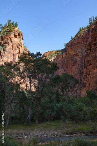 Canyon of Zion National Park with trees in the shade, a sun drenched cliff, under a clean blue sky