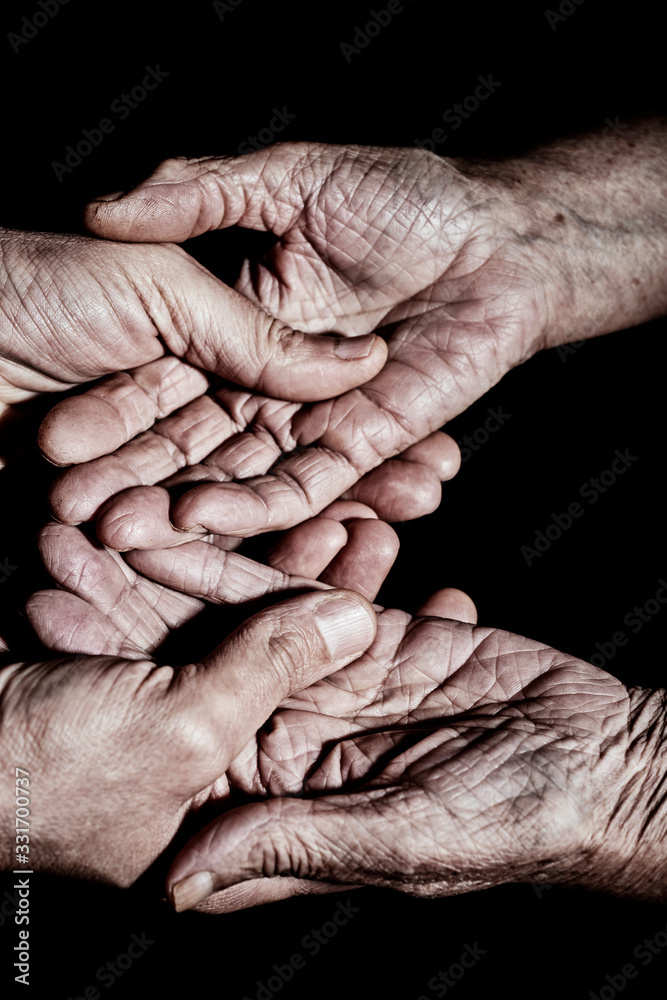 Fototapeta premium young man holding the hands of an old woman