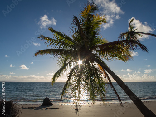 PLAYAS DEL NORDESTE BRASILERO 