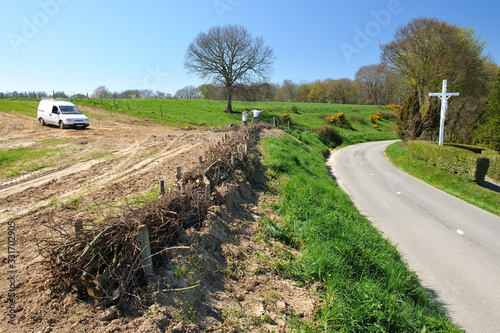 Lutte contre l'érosion des sols. Construction d'une fascine dans un champ de blé afin d'éviter les coulées de boues sur la route photo