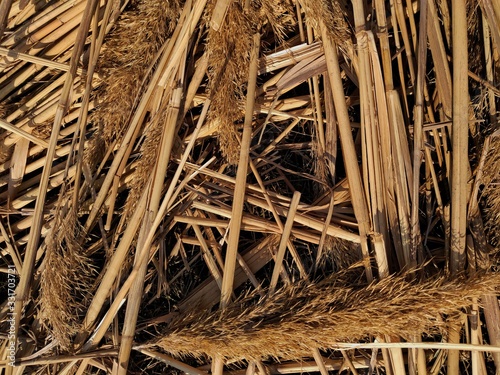 hay bale of straw in a field