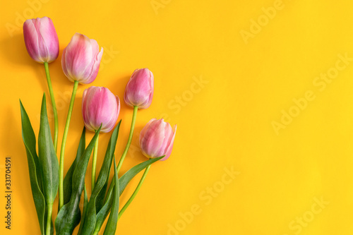 Fototapeta Naklejka Na Ścianę i Meble -  Colorful pink tulips on bright yellow paper background. Beautiful spring floral mock up for greeting card. Flat lay, top view, copy space for text