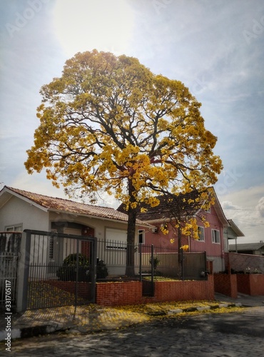 house in autumn