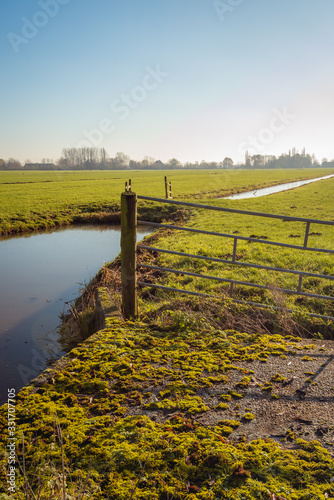 Vertical image with in the foreground mosses on a small concrete bridge. Behind it is a crooked steel gate attached to a wooden post. The photo was taken in a Dutch polder.