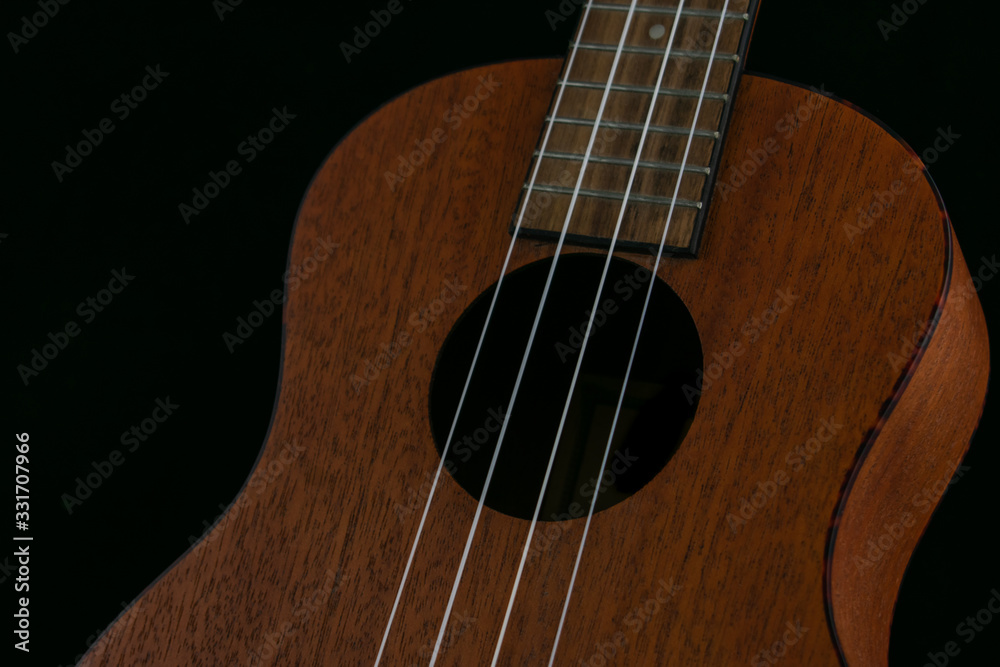 Fototapeta premium Ukulele