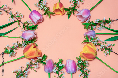 Round frame made of colorful pink and orange tulips and cherry blossom twigs on peachy paper background. Beautiful spring layout. Floral mock up for greeting card. Flat lay, top view, copy space