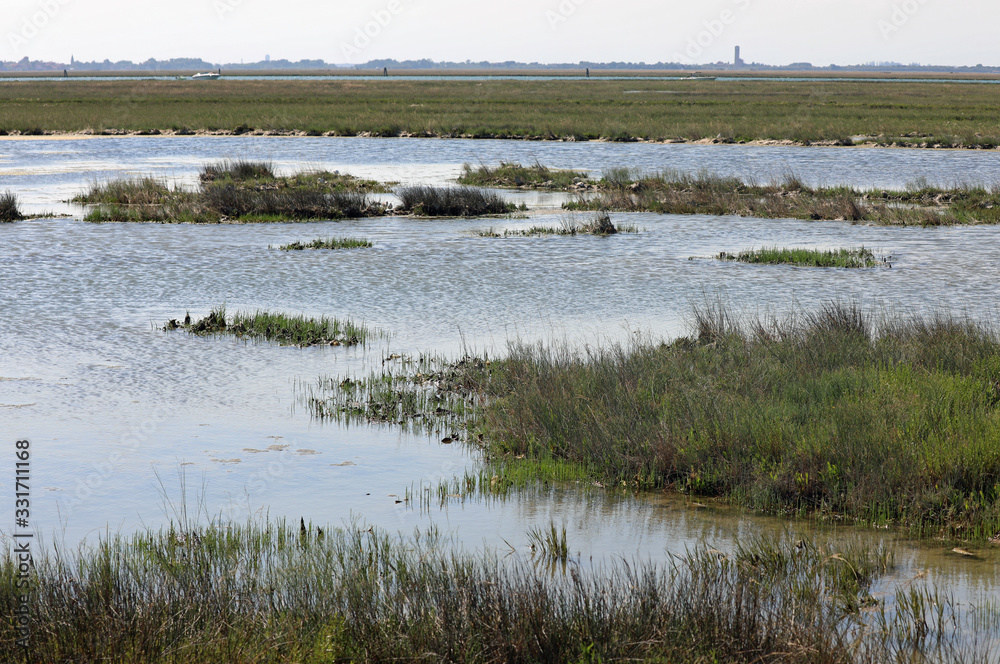 unspoiled natural landscape near the island of Venice in Italy