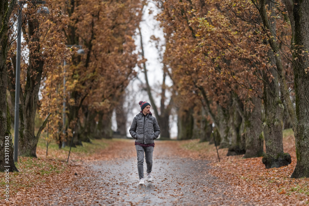 Fototapeta premium Paseos urbanos bajo arboles en otoño