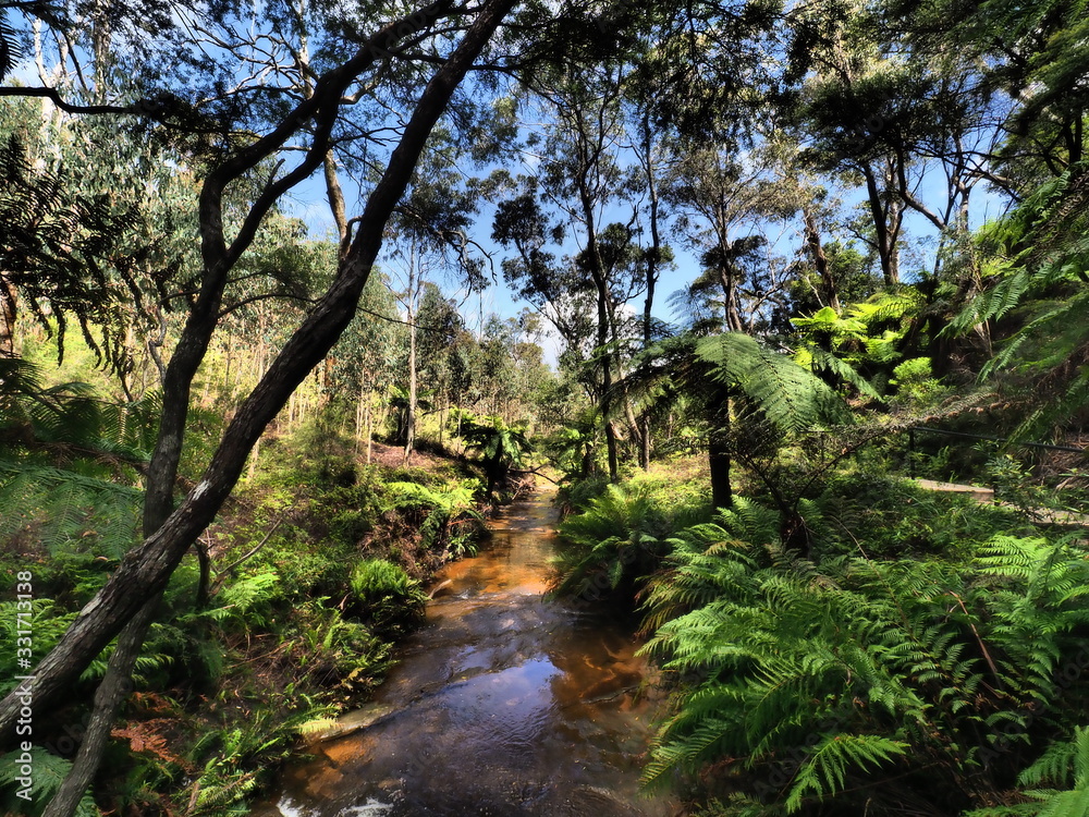 SCENARY AT AUSTRALIA SCENARY AT AUSTRALIA