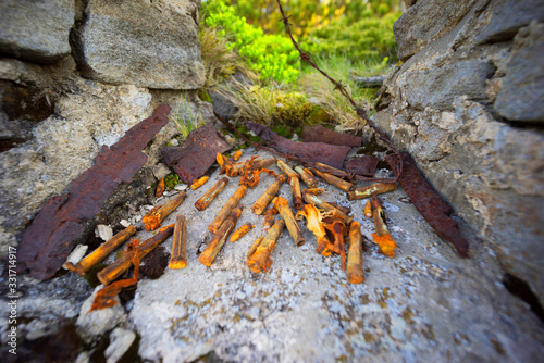 Rusty fragments, bullets in a dugout