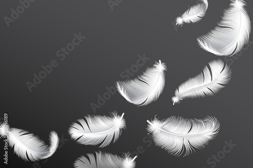 Flying white feathers. Falling realistic bird or angel wings feather flow vector background