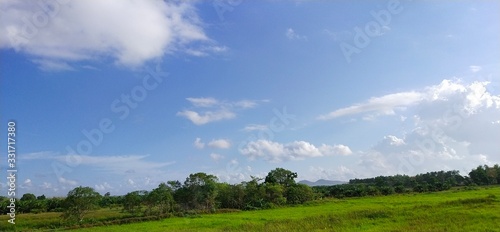 A wide field without people under the bright sky and the lush green forest.thailand