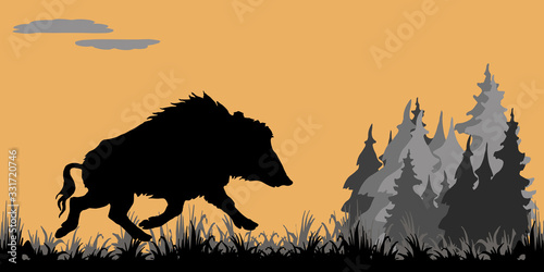 isolated image silhouette of a running wild boar