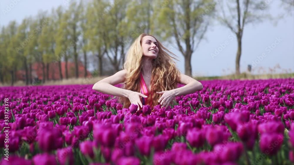 video. magical netherlands landscape with beautiful long red hair woman wearing in striped dress. Girl holding bouquet colorful tulips flowers and standing on purple tulip fields. Spring concept video. magical netherlands landscape with beautiful long red hair woman wearing in striped dress. Girl holding bouquet colorful tulips flowers and standing on purple tulip fields. Spring concept