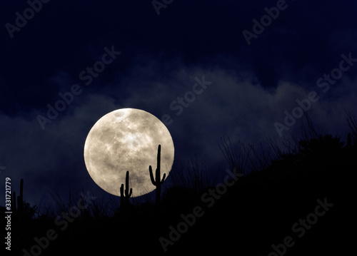 A full moon rises over the Arizona desert photo